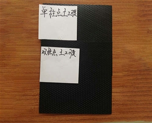 注點土工膜